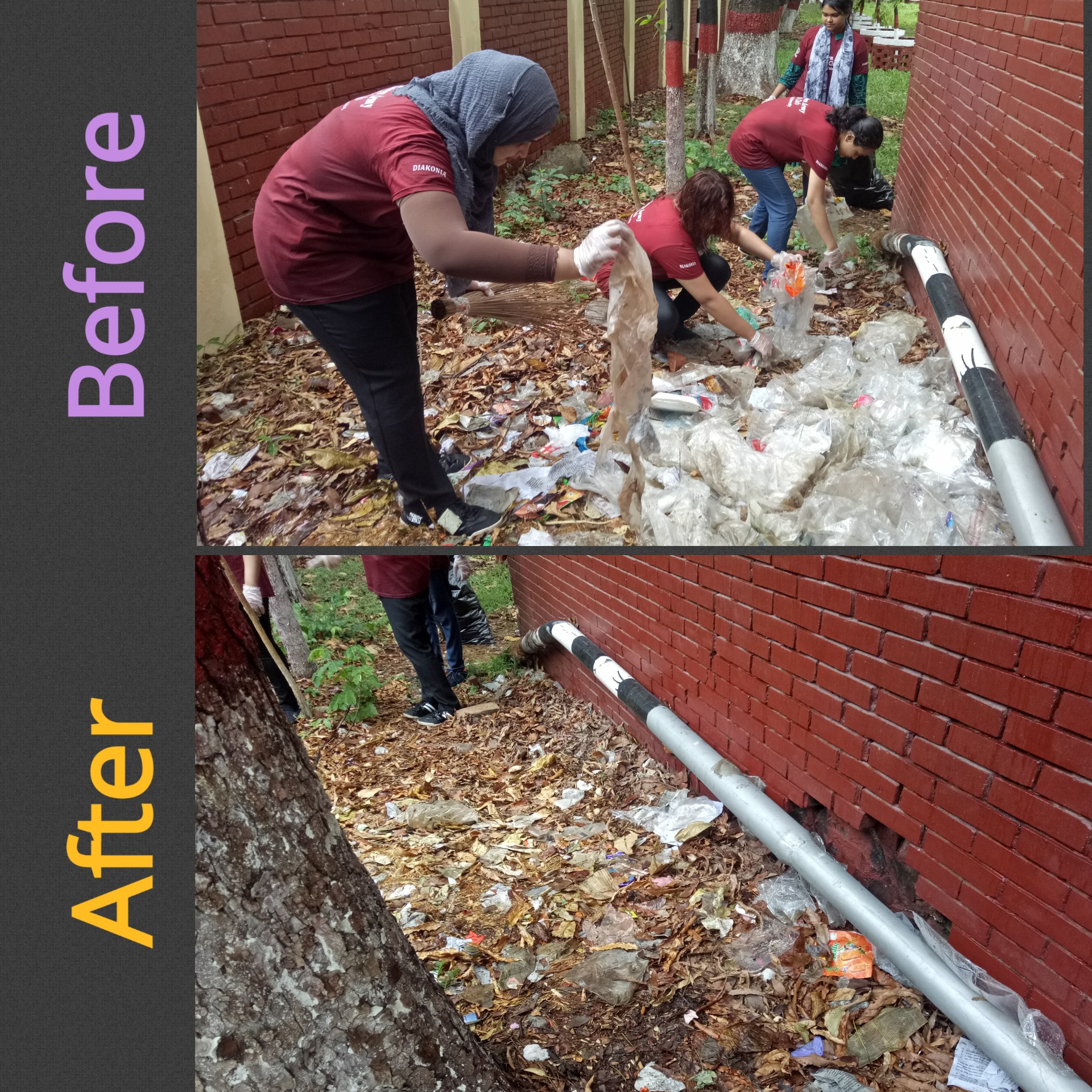 Earth Club Activity 4